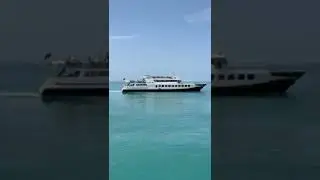 Теплоход стартует в открытое море от причала в Лазаревском. Купить билет на сайте в описании канала!