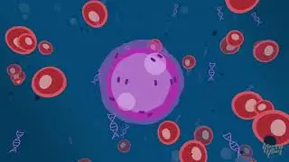 Natera 02 | Explainer Video by Yum Yum Videos