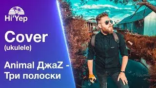 Animal ДжаZ - Три полоски | Ukulele cover