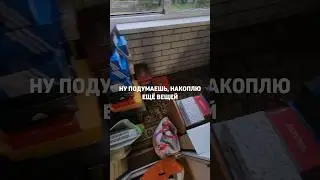#организаторпространства #life #юмор #мемы #organization #расхламление #humor #уют #авито #хламвдело