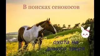 Охота на дикого зверя... По лесам полям и окрестностям. Где брать сено?..