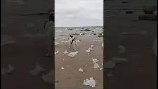 Проводы зимы 