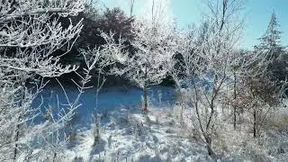 Winter Frost - Drone Footage 4k