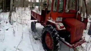 Russian Tractor HTZ T-16 Firewood Logging