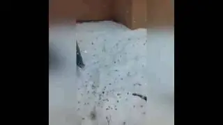 Хлопушки))))