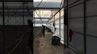 Отопление теплиц 