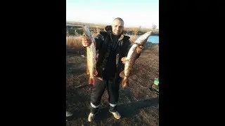 Осенняя Рыбалка. Волгоградская область.