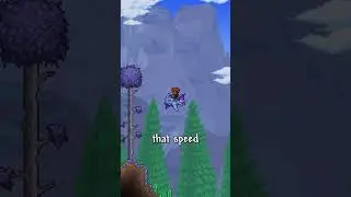 The Best Mounts In Terraria. 