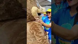 Um Passeio de Bike pela Praia de Camburi e o Evento Praia Limpa** 🚴‍♂️🌱🏖️