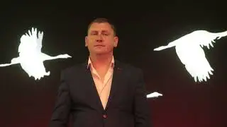 Алексей Пономарёв  - Журавли