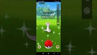 community day Dratini #pokemongo #pokémon