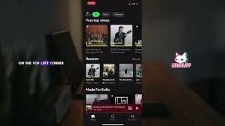 How do I delete a PLAYLIST in SPOTIFY