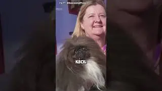 Inilah Anjing “TERJELEK” di Dunia