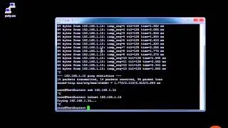 Junos : Ping, TracerRoute, Telnet, SSH, and Packet Capture