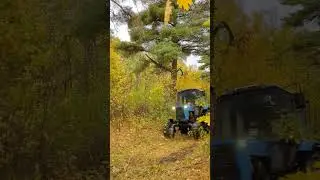 строительство самого атмосферного глэмпинга  парк отель 🌲 instagram.com/parkotelsosnovka #лес #отель
