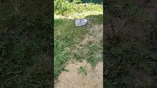 У Вас есть туалет?