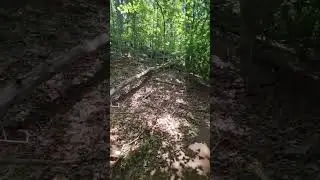 Family time on a Hike in Georgia