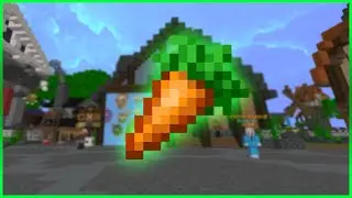 Hypixel Skyblock - Making Money With Carrots