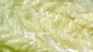 [ASMR] CABBAGE AND LETTUCE EATING SOUND | NO TALKING #1