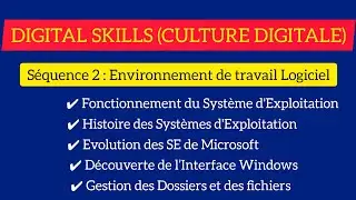 DIGITAL SKILLS (CULTURE DIGITALE) S2 / Séquence 2 : Environnement de travail Logiciel