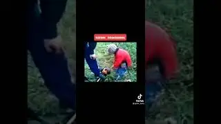 29 октября 2024 г.