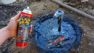 World's First *FLEX SEAL* Pond!?