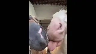 Что это  может быть 🤨 ?