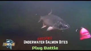Awesome Underwater Salmon Strikes (Plug Bites)