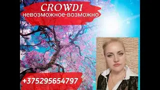 Презентация 