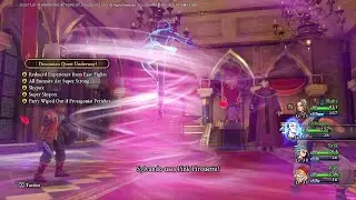 DQ11S - Jasper 2 / Mordegon (elemental attacks)