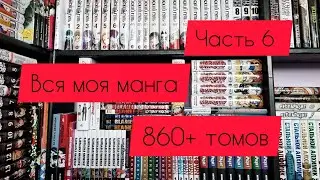 Моя коллекция манги | часть 6 | 860+ томов
