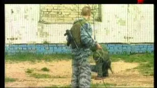 Особые боевые средства