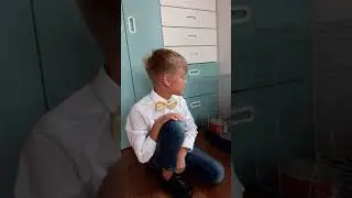 Чилийская белка в квартире