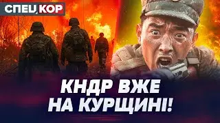 ⚡ПЕРШІ 3 ТИСЯЧІ СОЛДАТІВ КНДР ВЖЕ В КУРЩИНІ! ЩО ТЕПЕР ЧЕКАЄ УКРАЇНУ? Оперативний черговий
