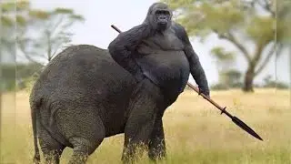 los animales híbridos más asombrosos
