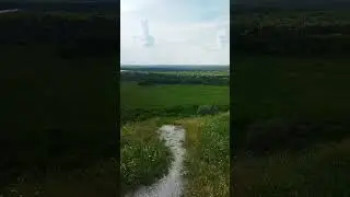 Sounds of nature🎶 Звуки природы #shorts #nature #niceview #природа #красота