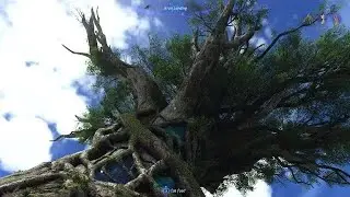 Avatar: Frontiers of Pandora Beauty 4K