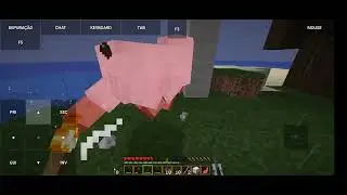 Minecraft Java 1.16.5 no Android S20 fe Pojavlauncher