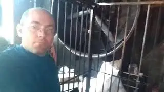 вольер на съёмках.