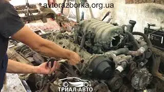 Двигун Тойота Ленд Крузер 100 4.7. 2UZ-FE