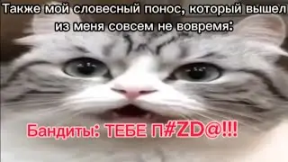 Кот говорит бананчики , НО это подборка мемов/жизы