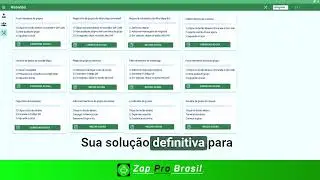 CONHEÇA O ZAP PRO BRASIL