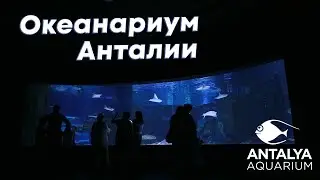 Сиде Турция часть 3/ Поездка в Анталию, океанариум, старый рынок, Дюденский водопад
