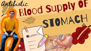 Blood Supply of stomach  : Detailed!!!!! how to draw easily ..