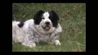 THIS IS ROBBY!!!