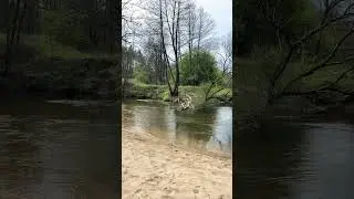 Красота земли Беларуси 