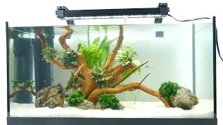 Tetra Tetronic LED  - Installation