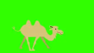 Camel Walk Green Screen for 