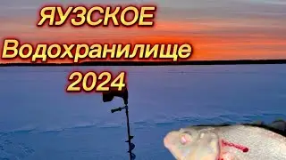 Зимняя рыбалка на Яузе 2024 Савино