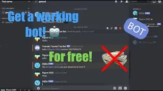 How To Make A Discord Bot That Listens To Your Commands - No Coding (Discord)